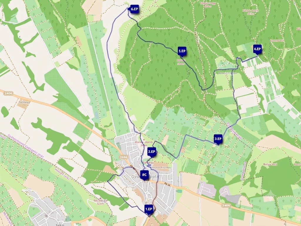 20 km-es táv térképe ellenőrző pontokkal
