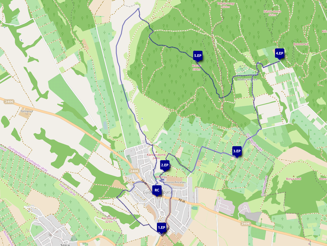 20 km-es táv térképe ellenőrző pontokkal